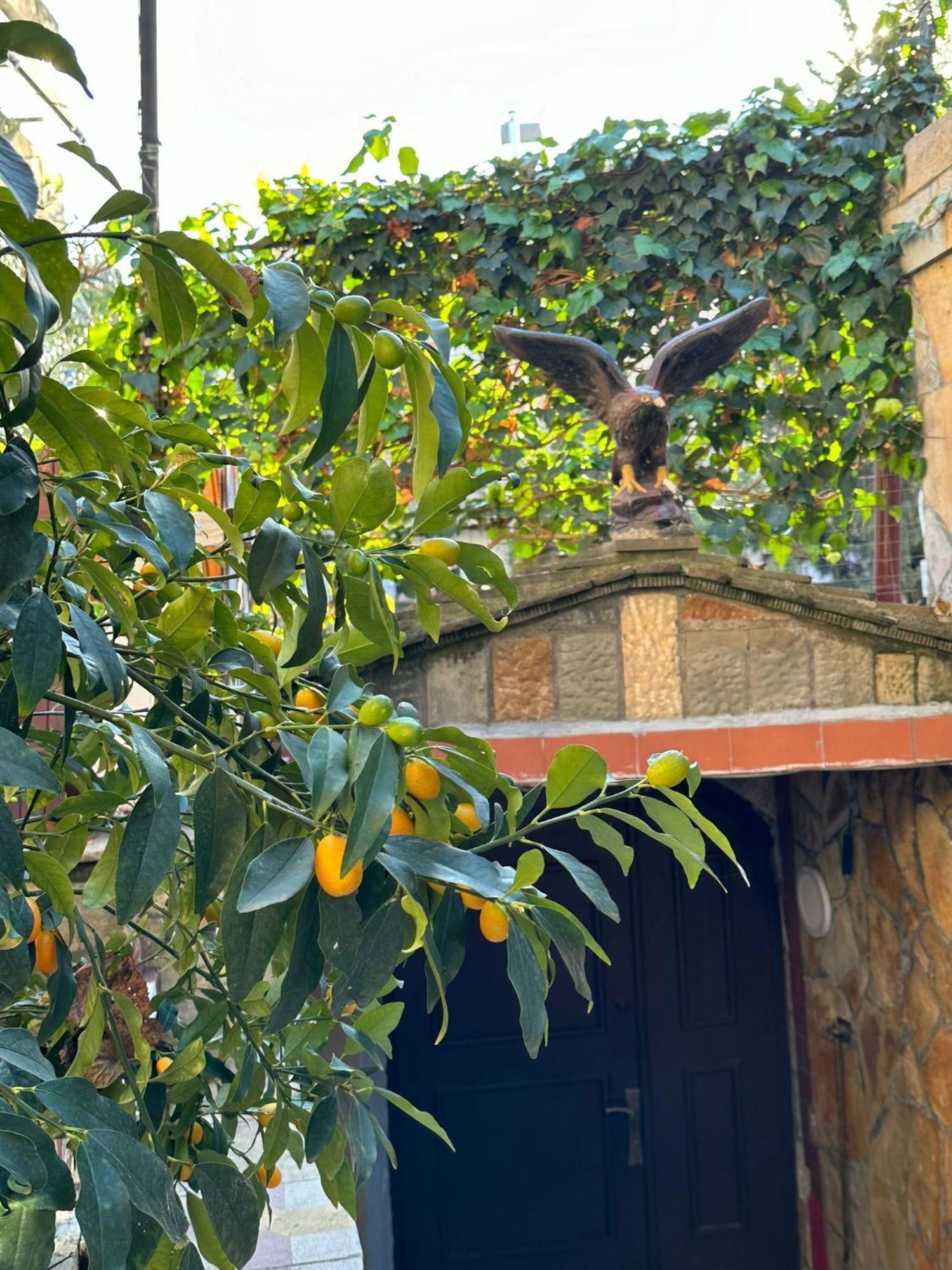 Alimeti Guesthouse เบราท ภายนอก รูปภาพ