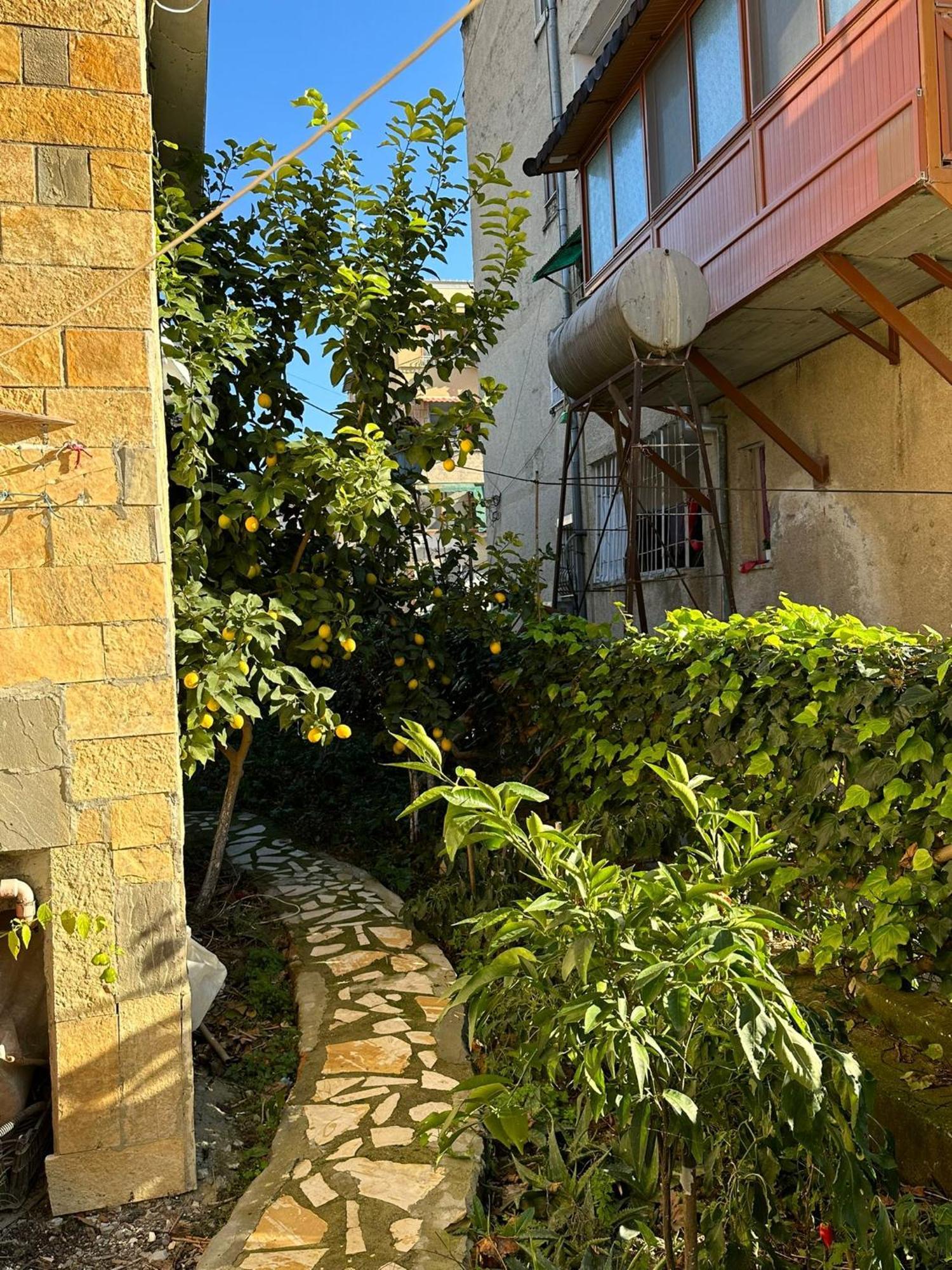 Alimeti Guesthouse เบราท ภายนอก รูปภาพ